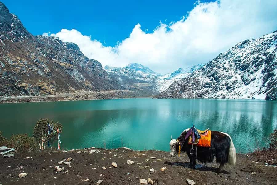 Gangtok-Pelling-Darjeeling - 6N/7D - Image 1